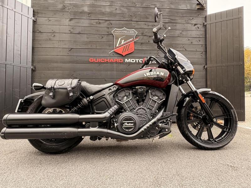 Indian Scout Rogue