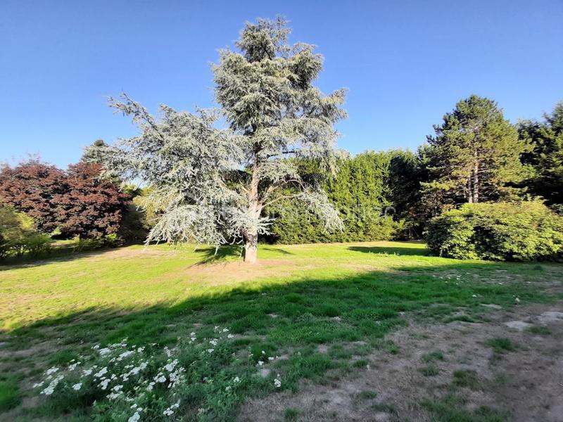 Terrain - 2 788 m²