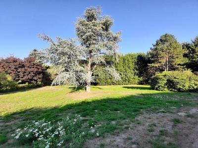 Terrain - 2 788 m²
