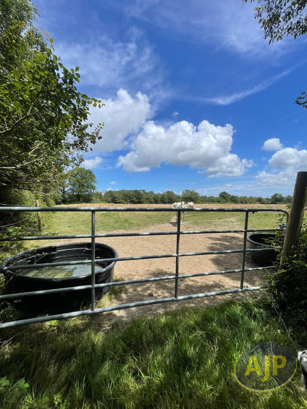 Maison de domaine équestre - 145 935 m²