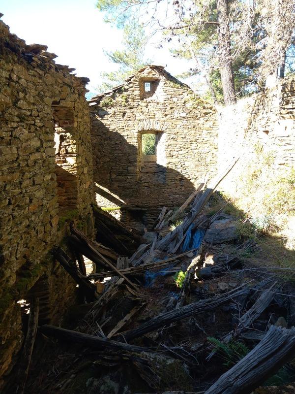 Maison - 300 m² - 1 pièce