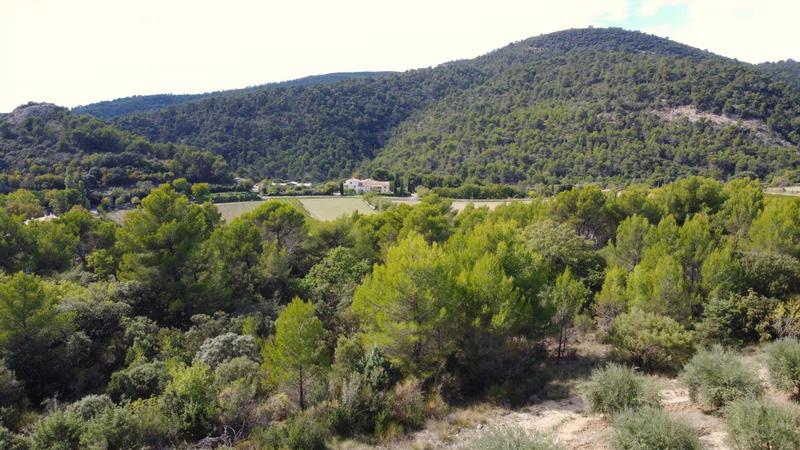 Mas - 220 m² - 5 pièces