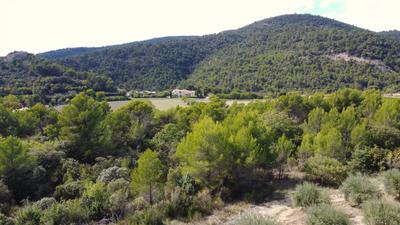 Mas - 220 m² - 5 pièces