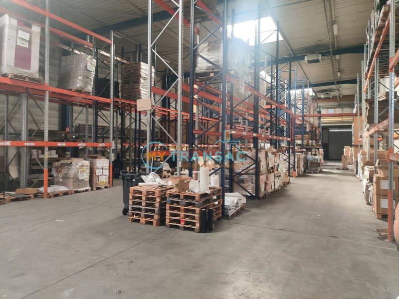 Local d'activité / Entrepôt - 3 699 m²