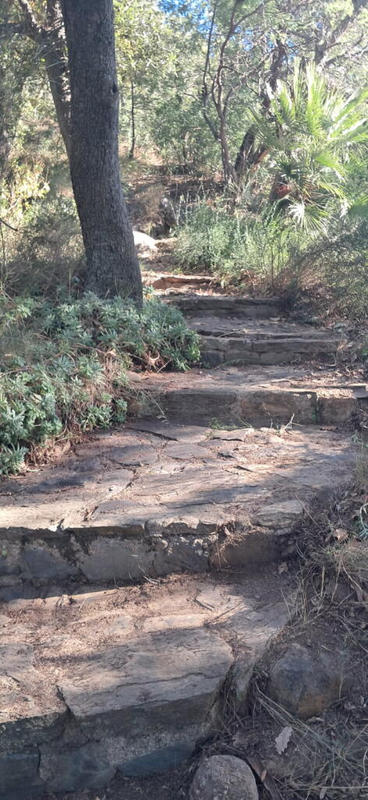 Terrain de loisirs - 13 715 m²