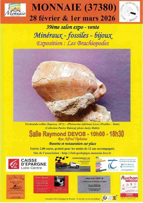 38 ème salon de minéraux et fossiles