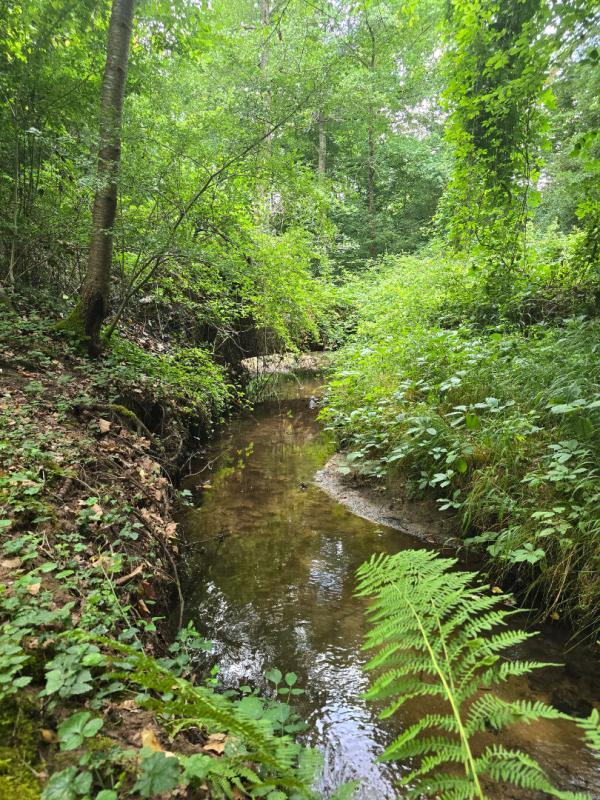 Maison - 365 m² - 11 pièces