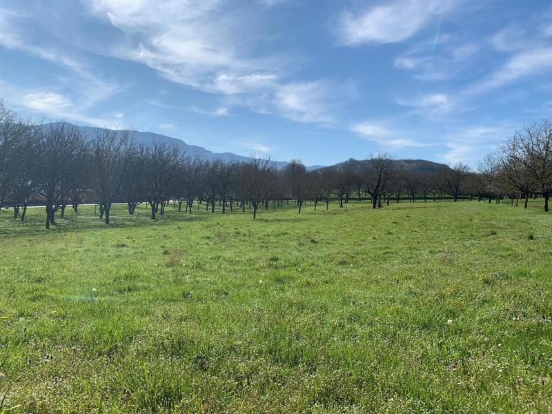 Terrain constructible - 544 m²