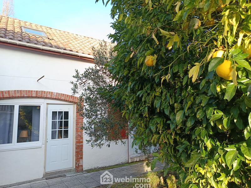 Maison de maîtres - 316 m² - 11 pièces