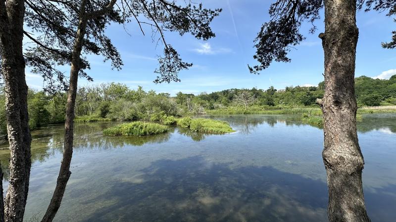 Maison - 322 m² - 9 pièces