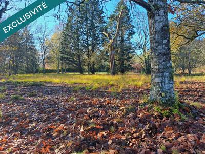 Maison - 211 m² - 9 pièces