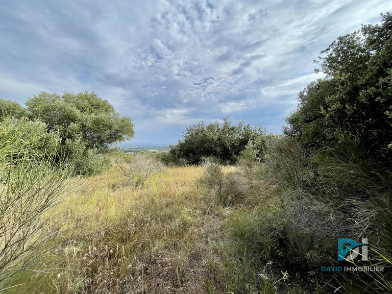 Terrain agricole - 7 310 m²