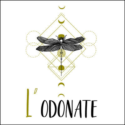 L'odonate