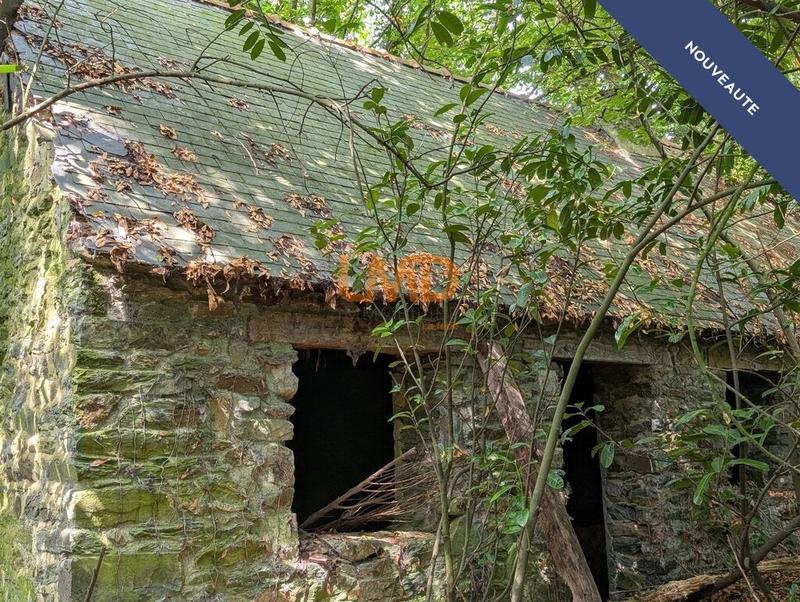 Maison en pierre - 60 m² - 2 pièces