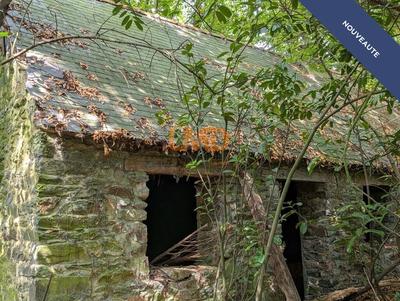 Maison en pierre - 60 m² - 2 pièces