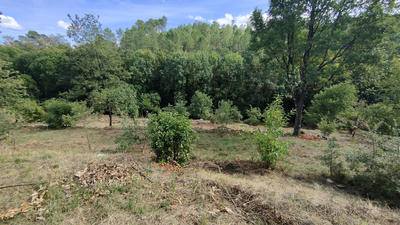 Terrain - 4 137 m²