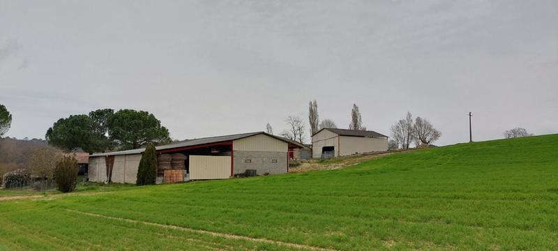 Corps de ferme - 300 m² - 1 pièce