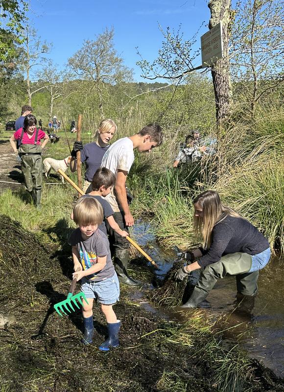 Journée Ecocitoyenne - Arrachage des plantes aquatiques invasives