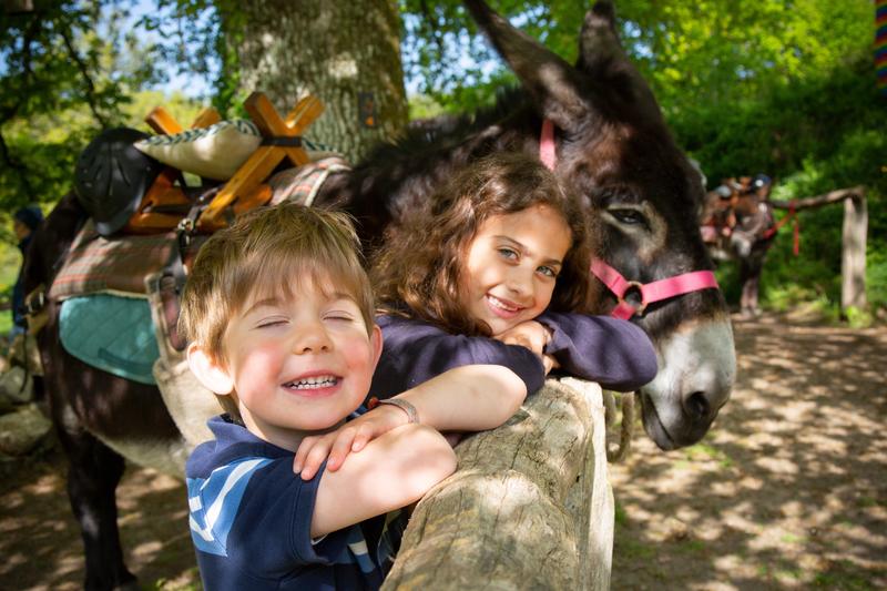 J'apprends à m'occuper de mon âne