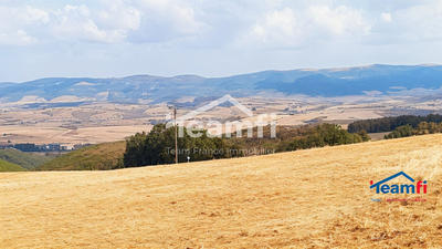 Terrain - 1 743 m²