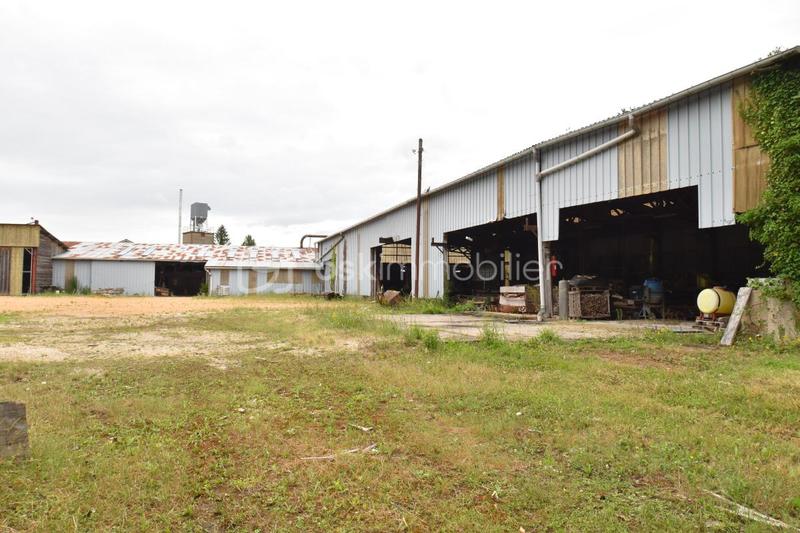 Local d'activité / Entrepôt - 2 600 m² - 10 pièces