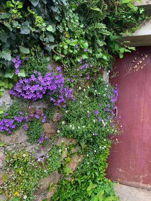 Maison - 70 m² - 4 pièces