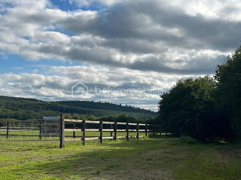 Propriété - 230 m² - 7 pièces