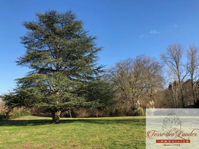 Propriété - 291 m² - 7 pièces