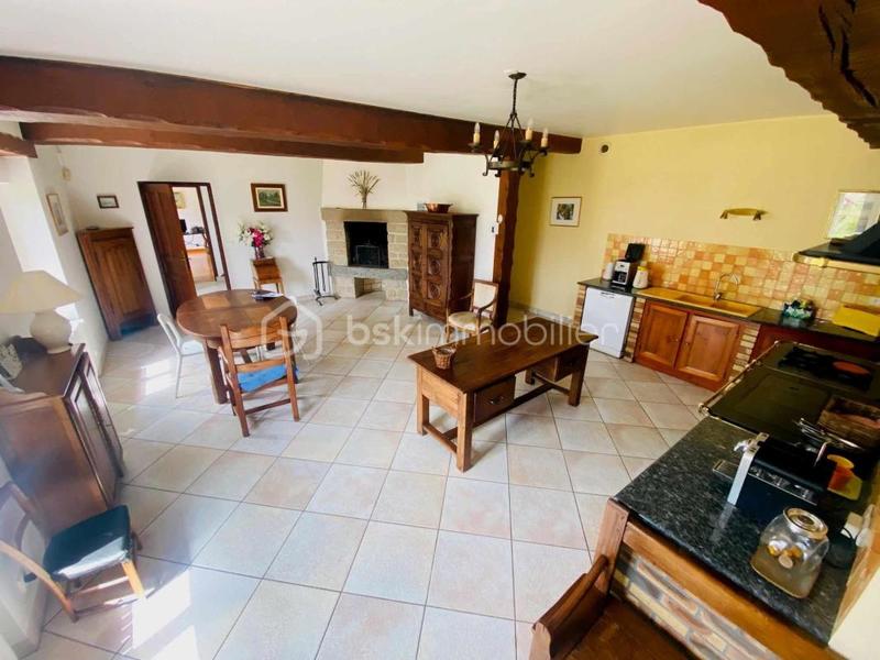 Maison en pierre - 310 m² - 10 pièces