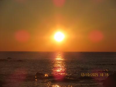 Appartement - 28 m² - 2 pièces