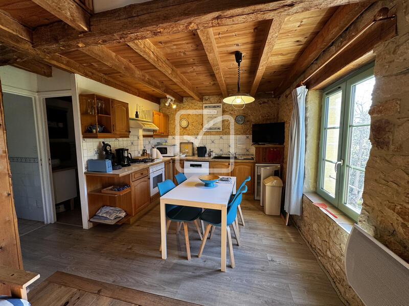 Maison - 318 m² - 10 pièces