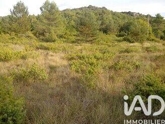 Terrain - 14 809 m²