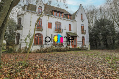 Appartement - 53 m² - 2 pièces