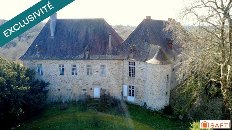 Château - 830 m² - 16 pièces