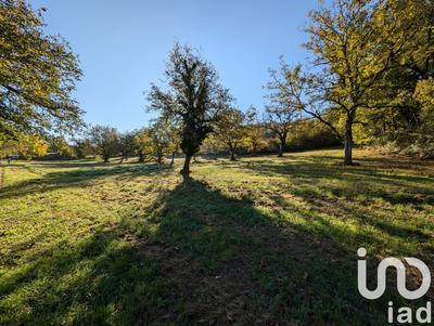 Terrain - 20 220 m²