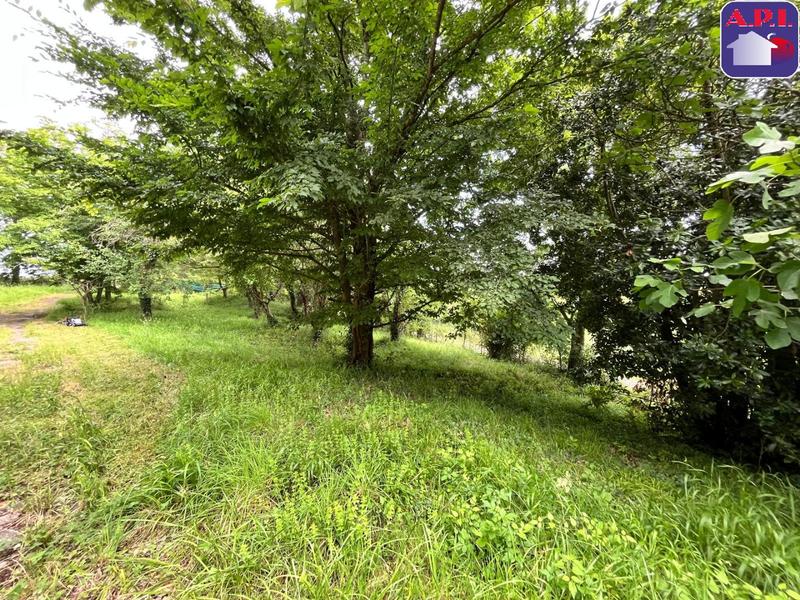 Maison - 202 m² - 6 pièces