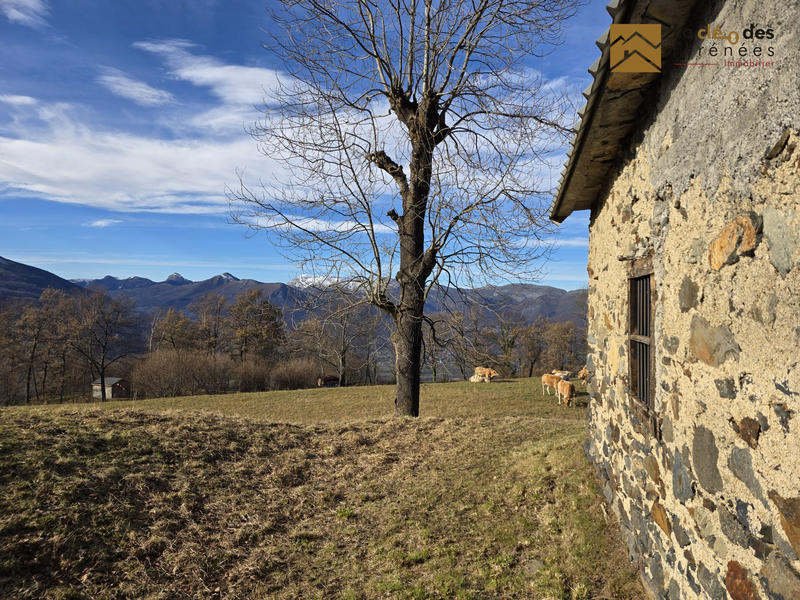 Maison ancienne - 85 m² - 2 pièces