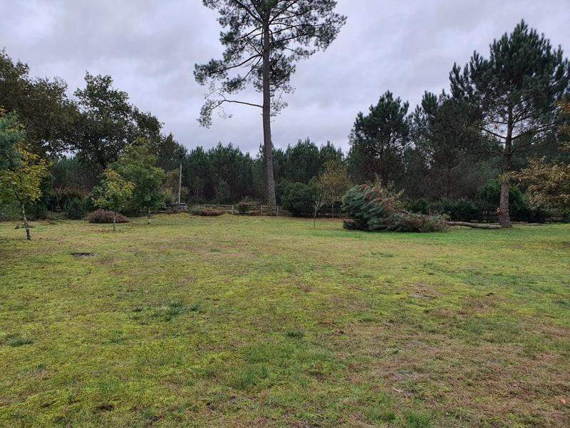 Terrain constructible - 2 500 m²