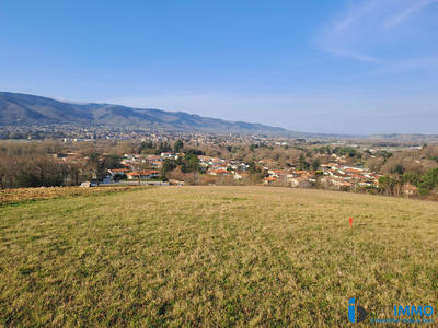 Terrain - 1 317 m²