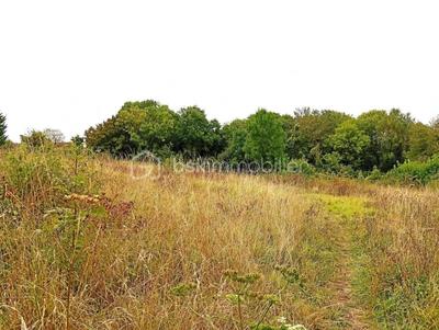 Terrain de loisirs - 2 729 m²