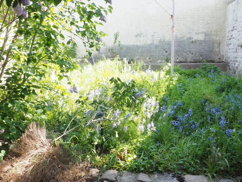 Maison - 147 m² - 6 pièces