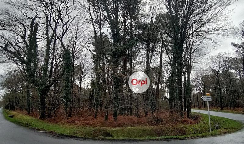 Terrain de loisirs - 49 615 m²