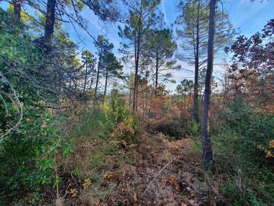 Terrain agricole - 1 300 m²