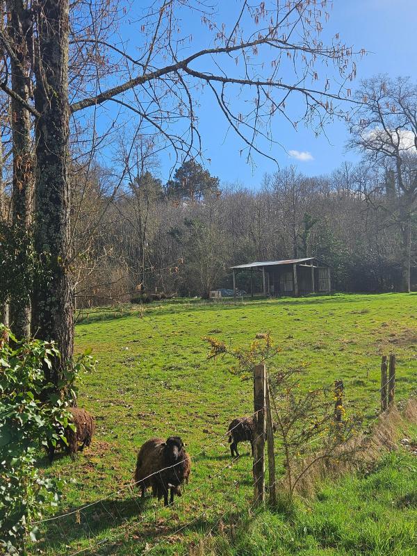 Maison - 121 m² - 4 pièces