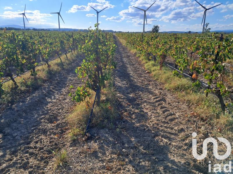 Terrain agricole - 29 000 m²