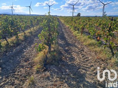 Terrain agricole - 29 000 m²