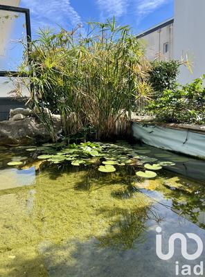 Appartement - 34 m² - 2 pièces