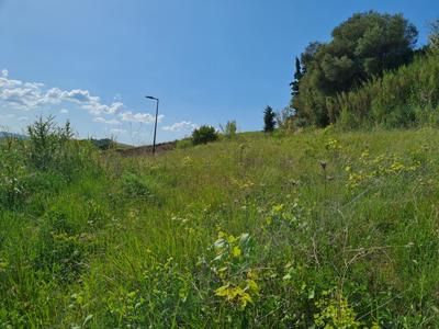 Terrain - 740 m²