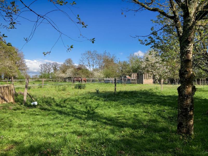 Terrain - 17 000 m²