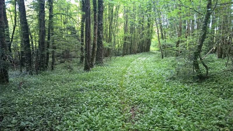 Château - 450 m² - 9 pièces